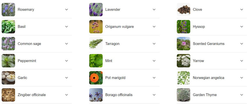 aromatic plants list.jpg