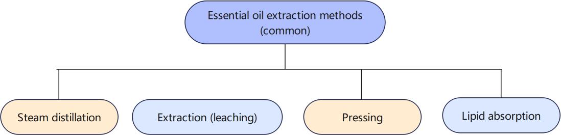 solvent extraction system.jpg