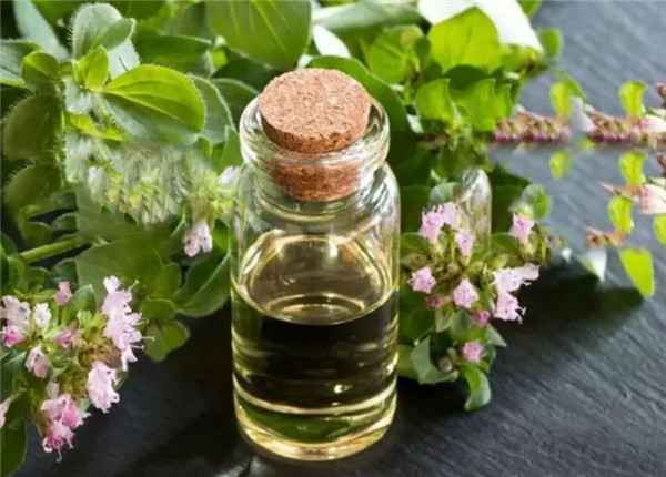 31. Oregano essential oil .jpg